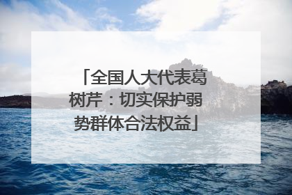 全国人大代表葛树芹：切实保护弱势群体合法权益