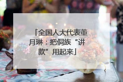 全国人大代表董月琳：把侗族“讲款”用起来