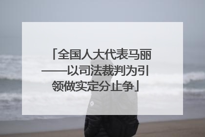 全国人大代表马丽——以司法裁判为引领做实定分止争