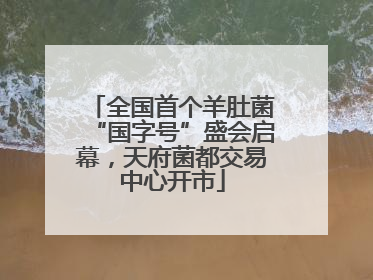 全国首个羊肚菌“国字号”盛会启幕，天府菌都交易中心开市