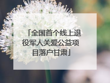 全国首个线上退役军人关爱公益项目落户甘肃