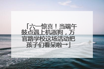 六一惊喜！当端午鼓点遇上机器狗，万官路学校这场活动把孩子们看呆啦→
