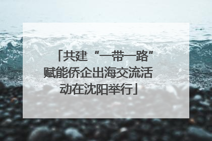 共建“一带一路”赋能侨企出海交流活动在沈阳举行