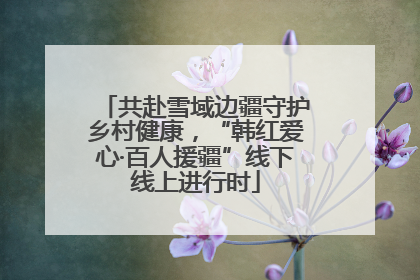 共赴雪域边疆守护乡村健康，“韩红爱心·百人援疆”线下线上进行时