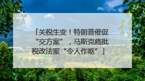 关税生变！特朗普催促“交方案”，马斯克痛批税改法案“令人作呕”