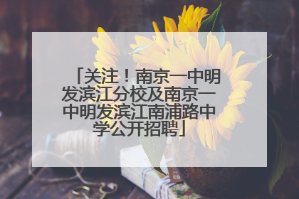 关注！南京一中明发滨江分校及南京一中明发滨江南浦路中学公开招聘