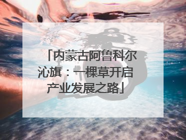 内蒙古阿鲁科尔沁旗：一棵草开启产业发展之路