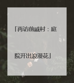 再访前戚村：庭院开出浪漫花
