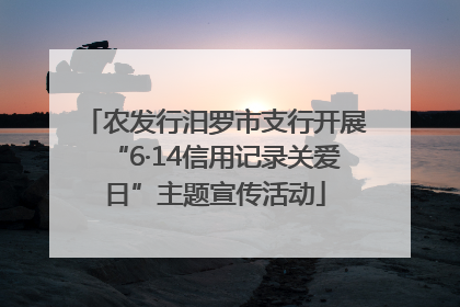 农发行汨罗市支行开展“6·14信用记录关爱日”主题宣传活动