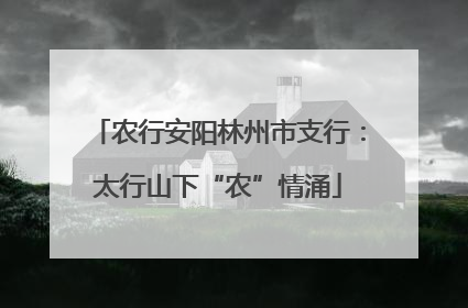 农行安阳林州市支行：太行山下“农”情涌