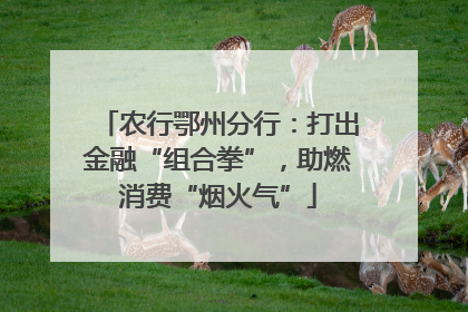 农行鄂州分行：打出金融“组合拳”，助燃消费“烟火气”