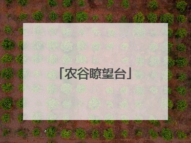 农谷瞭望台