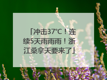 冲击37℃！连续5天雨雨雨！浙江桑拿天要来了