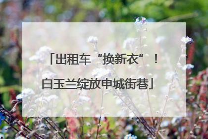 出租车“换新衣”！白玉兰绽放申城街巷