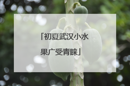 初夏武汉小水果广受青睐
