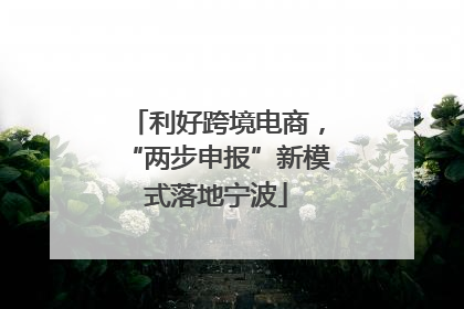 利好跨境电商，“两步申报”新模式落地宁波
