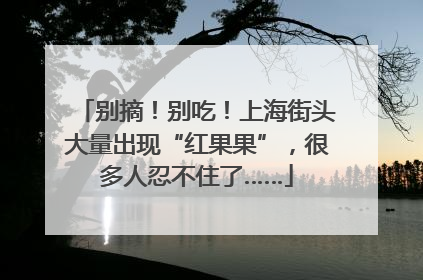 别摘！别吃！上海街头大量出现“红果果”，很多人忍不住了……