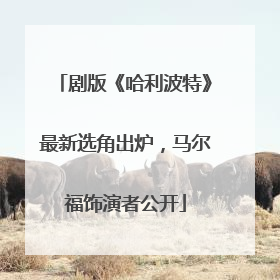 剧版《哈利波特》最新选角出炉，马尔福饰演者公开