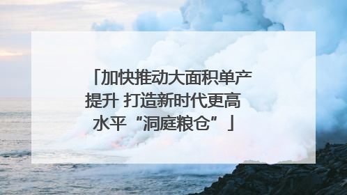 加快推动大面积单产提升 打造新时代更高水平“洞庭粮仓”