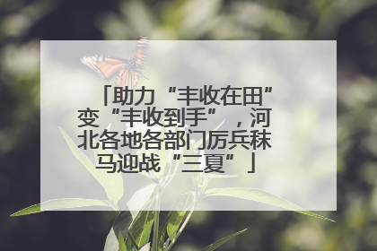助力“丰收在田”变“丰收到手”，河北各地各部门厉兵秣马迎战“三夏”