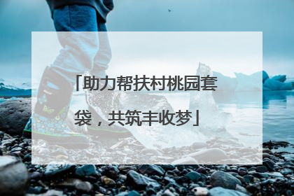 助力帮扶村桃园套袋，共筑丰收梦