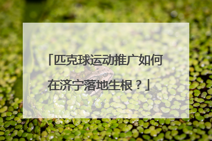 匹克球运动推广如何在济宁落地生根？