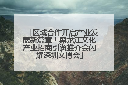 区域合作开启产业发展新篇章！黑龙江文化产业招商引资推介会闪耀深圳文博会