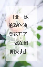 北三环的彩色油菜花开了，就在朝阳安贞