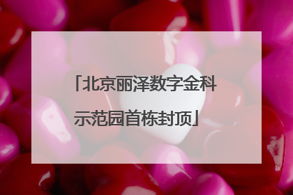 北京丽泽数字金科示范园首栋封顶