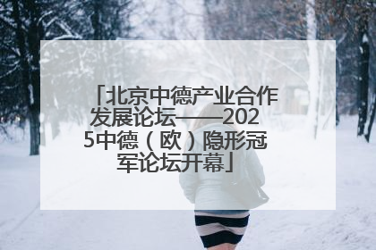 北京中德产业合作发展论坛——2025中德（欧）隐形冠军论坛开幕