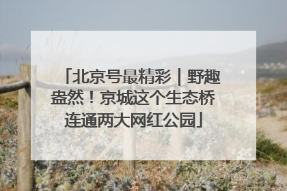 北京号最精彩｜野趣盎然！京城这个生态桥连通两大网红公园