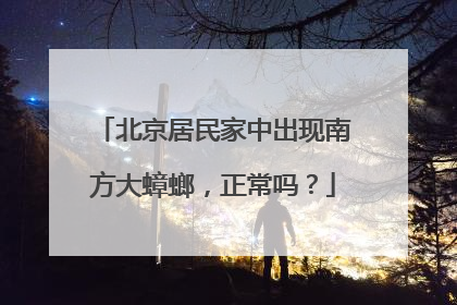 北京居民家中出现南方大蟑螂，正常吗？