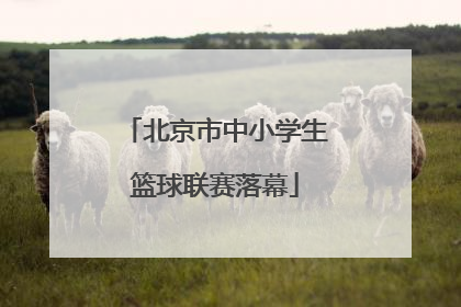 北京市中小学生篮球联赛落幕
