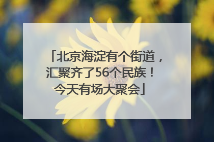 北京海淀有个街道，汇聚齐了56个民族！今天有场大聚会