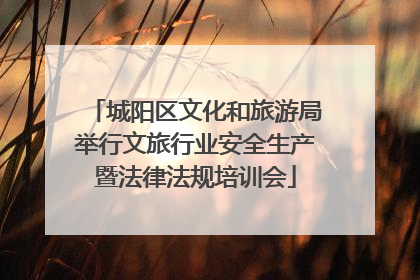 城阳区文化和旅游局举行文旅行业安全生产暨法律法规培训会