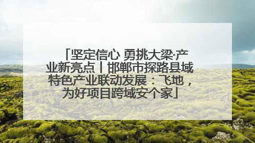 坚定信心 勇挑大梁·产业新亮点丨邯郸市探路县域特色产业联动发展：飞地，为好项目跨域安个家
