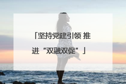 坚持党建引领 推进“双融双促”