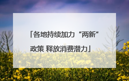 各地持续加力“两新”政策 释放消费潜力