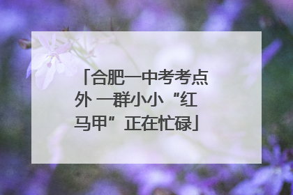 合肥一中考考点外 一群小小“红马甲”正在忙碌