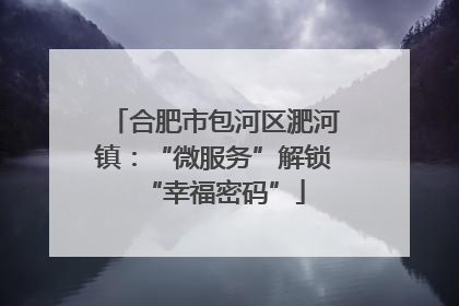 合肥市包河区淝河镇：“微服务”解锁“幸福密码”