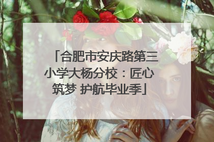 合肥市安庆路第三小学大杨分校：匠心筑梦 护航毕业季