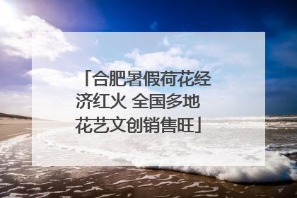 合肥暑假荷花经济红火 全国多地花艺文创销售旺