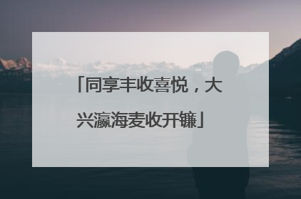 同享丰收喜悦，大兴瀛海麦收开镰