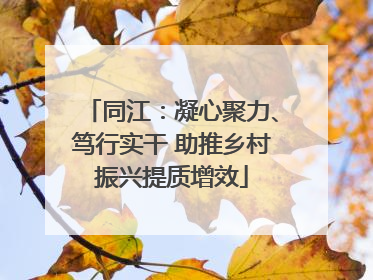 同江：凝心聚力、笃行实干 助推乡村振兴提质增效