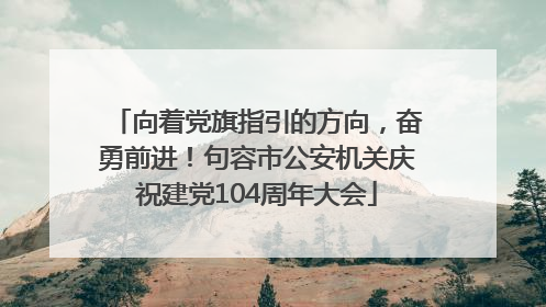 向着党旗指引的方向，奋勇前进！句容市公安机关庆祝建党104周年大会