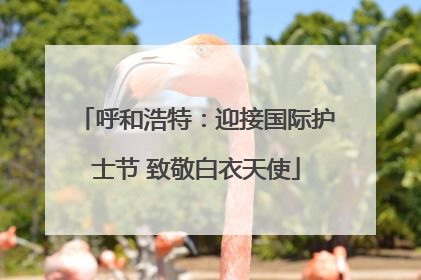 呼和浩特：迎接国际护士节 致敬白衣天使