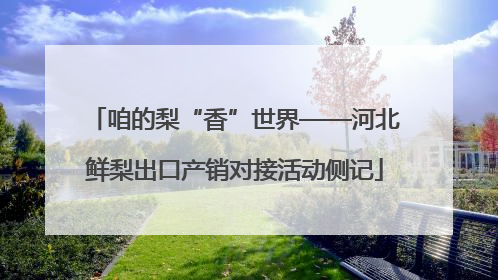 咱的梨“香”世界——河北鲜梨出口产销对接活动侧记