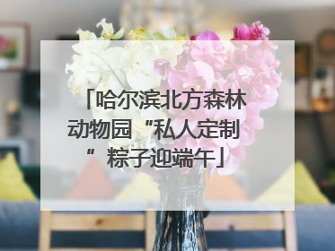 哈尔滨北方森林动物园“私人定制”粽子迎端午