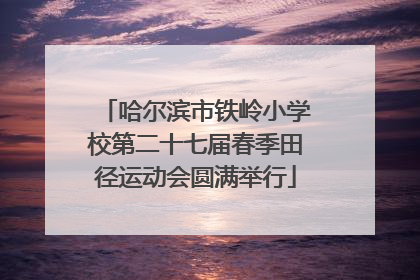 哈尔滨市铁岭小学校第二十七届春季田径运动会圆满举行