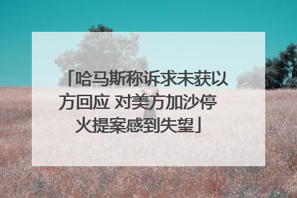 哈马斯称诉求未获以方回应 对美方加沙停火提案感到失望
